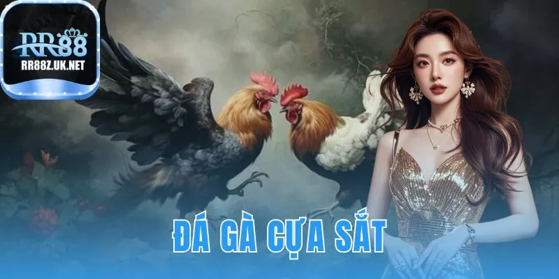 đá gà cựa sắt