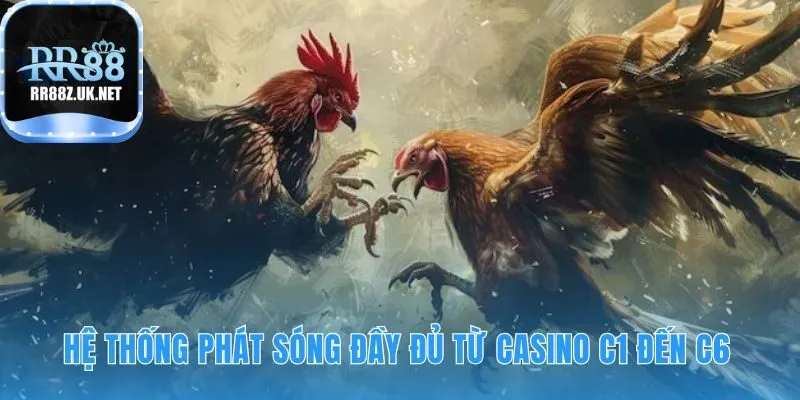 Phát sóng toàn diện với video HD kèo cược và bình luận chuyên nghiệp