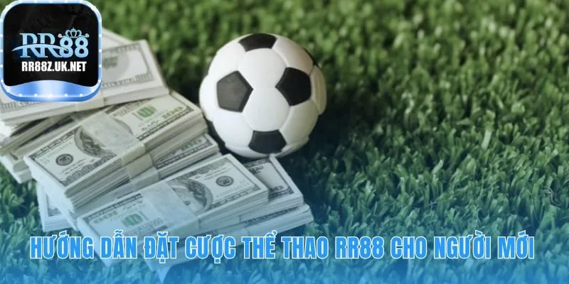 Quy trình đặt cược thể thao RR88 gồm 6 bước rõ ràng cho người mới