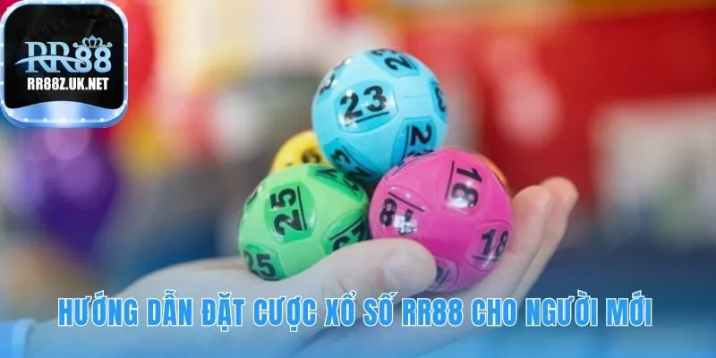 Hướng dẫn đặt cược qua 5 bước dễ dàng