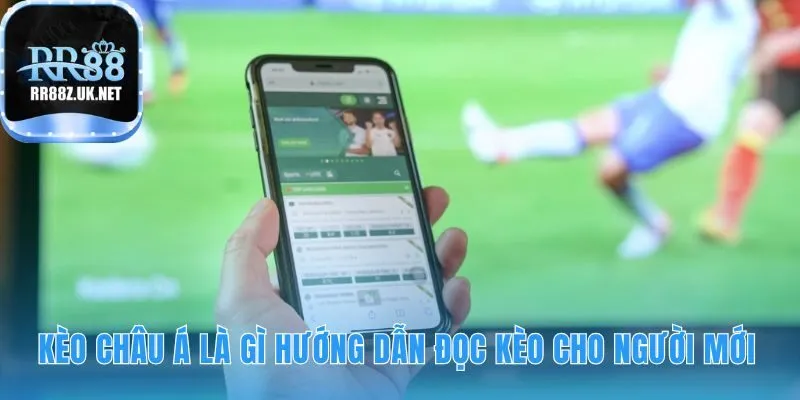 Kèo châu Á giải thích các tỷ lệ chấp cơ bản cho người mới