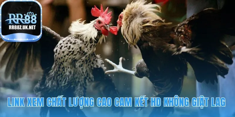 Link xem chất lượng cao cung cấp hình ảnh HD sắc nét mượt mà