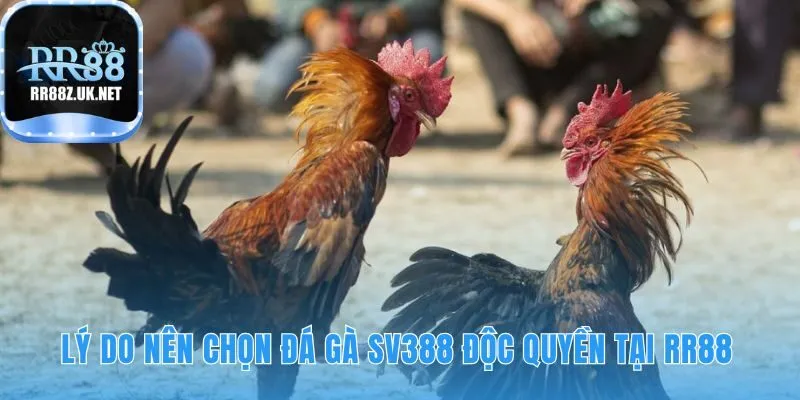 Chọn tham gia vì những đặc quyền độc quyền